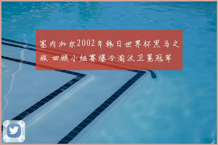 塞内加尔2002年韩日世界杯黑马之旅 回顾小组赛爆冷淘汰卫冕冠军