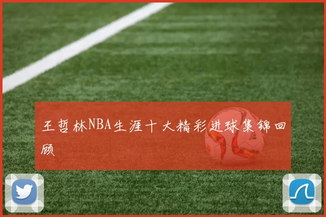 王哲林NBA生涯十大精彩进球集锦回顾