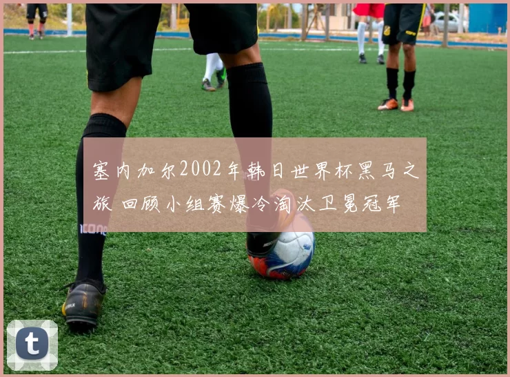 塞内加尔2002年韩日世界杯黑马之旅 回顾小组赛爆冷淘汰卫冕冠军