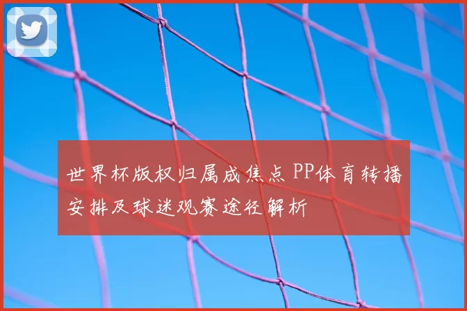 世界杯版权归属成焦点 PP体育转播安排及球迷观赛途径解析