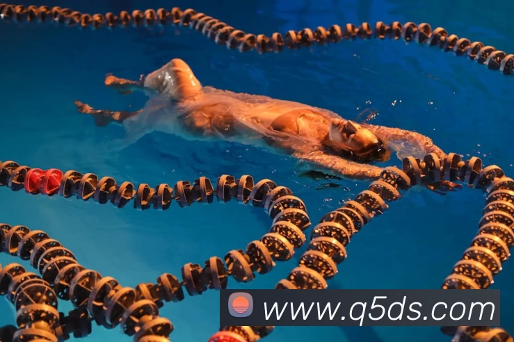 多媒体互动体验